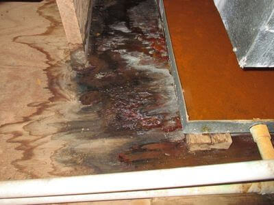 About water damage restoration service - basement flood restoration services experts in Howell